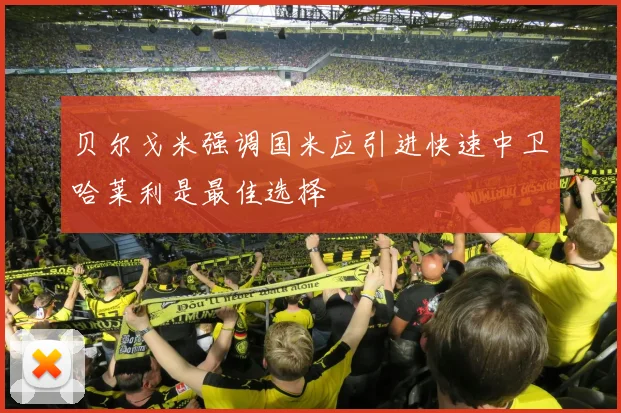 贝尔戈米强调国米应引进快速中卫哈莱利是最佳选择